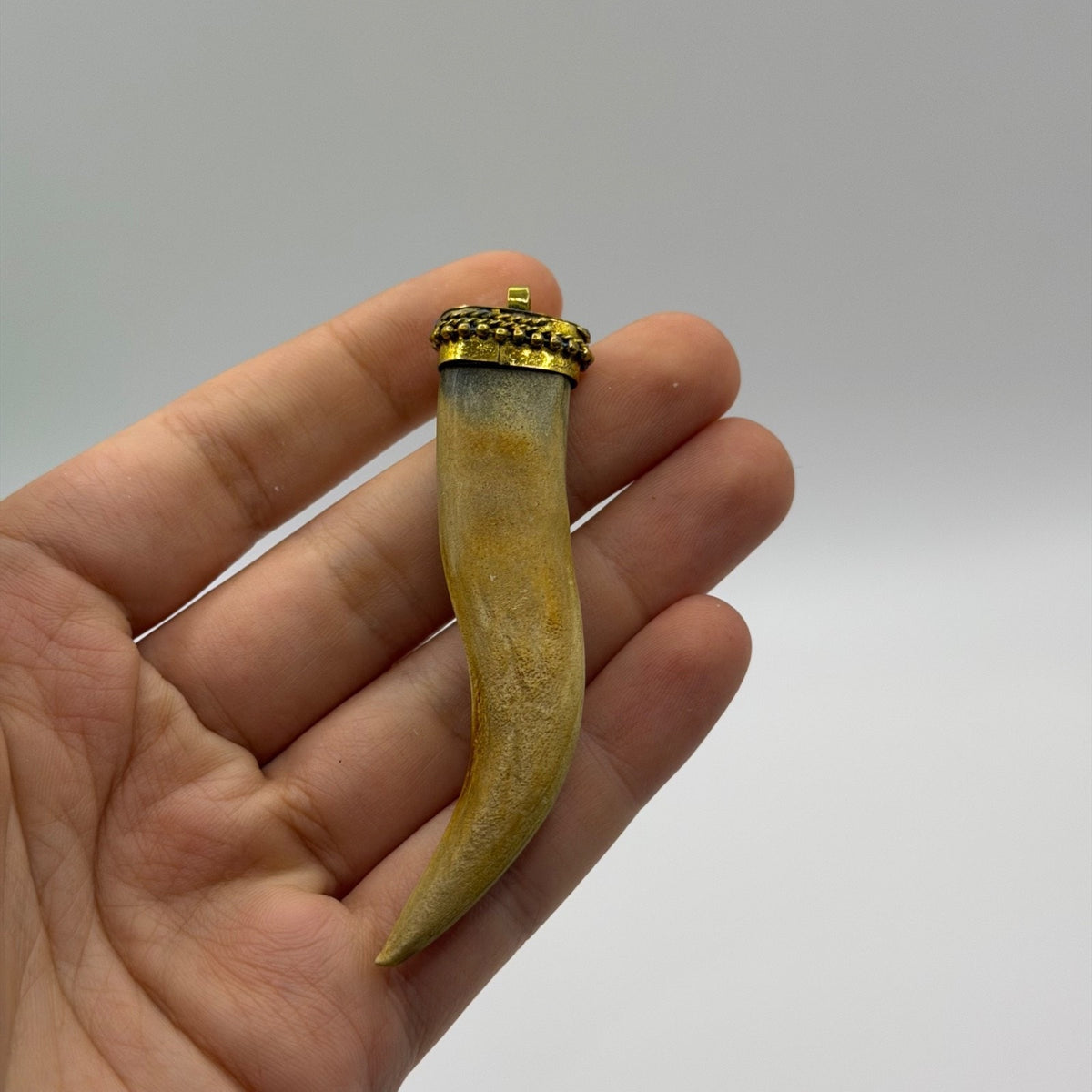 Antique Style Horn Tooth Like Pendant Brass Wire Wrap Cap Tribal Protection