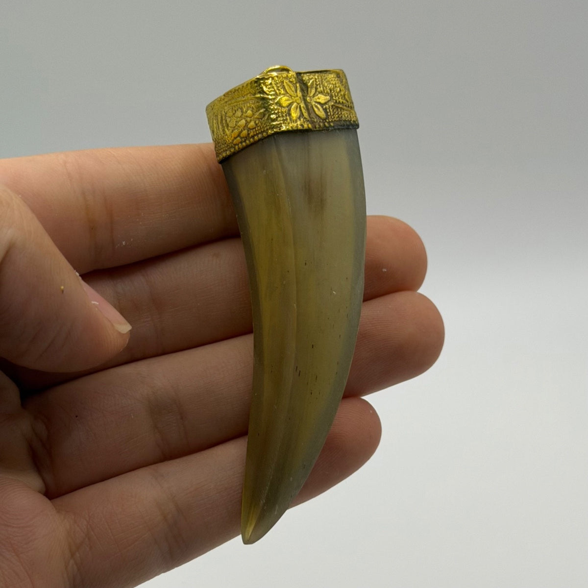 Antique Style Faux Horn Claw Tusk Pendant Brass Gold Tone Cap Talisman