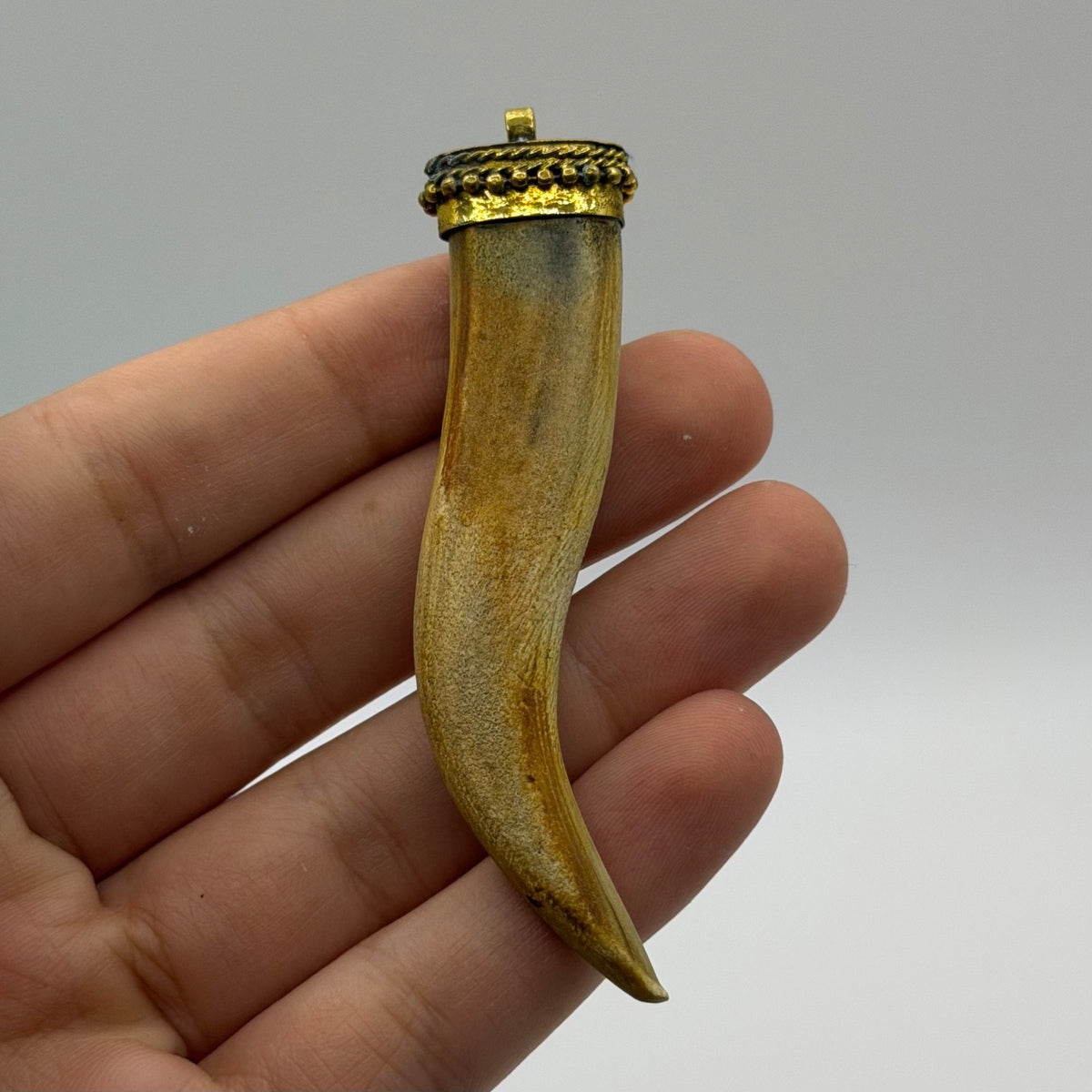 Antique Style Horn Tooth Like Pendant Brass Wire Wrap Cap Tribal Protection