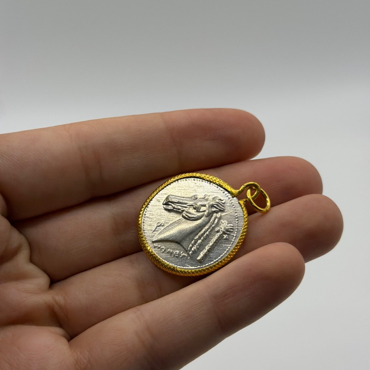 Ancient Roman Greek Style Silver & Gold Plated Coin Pendant