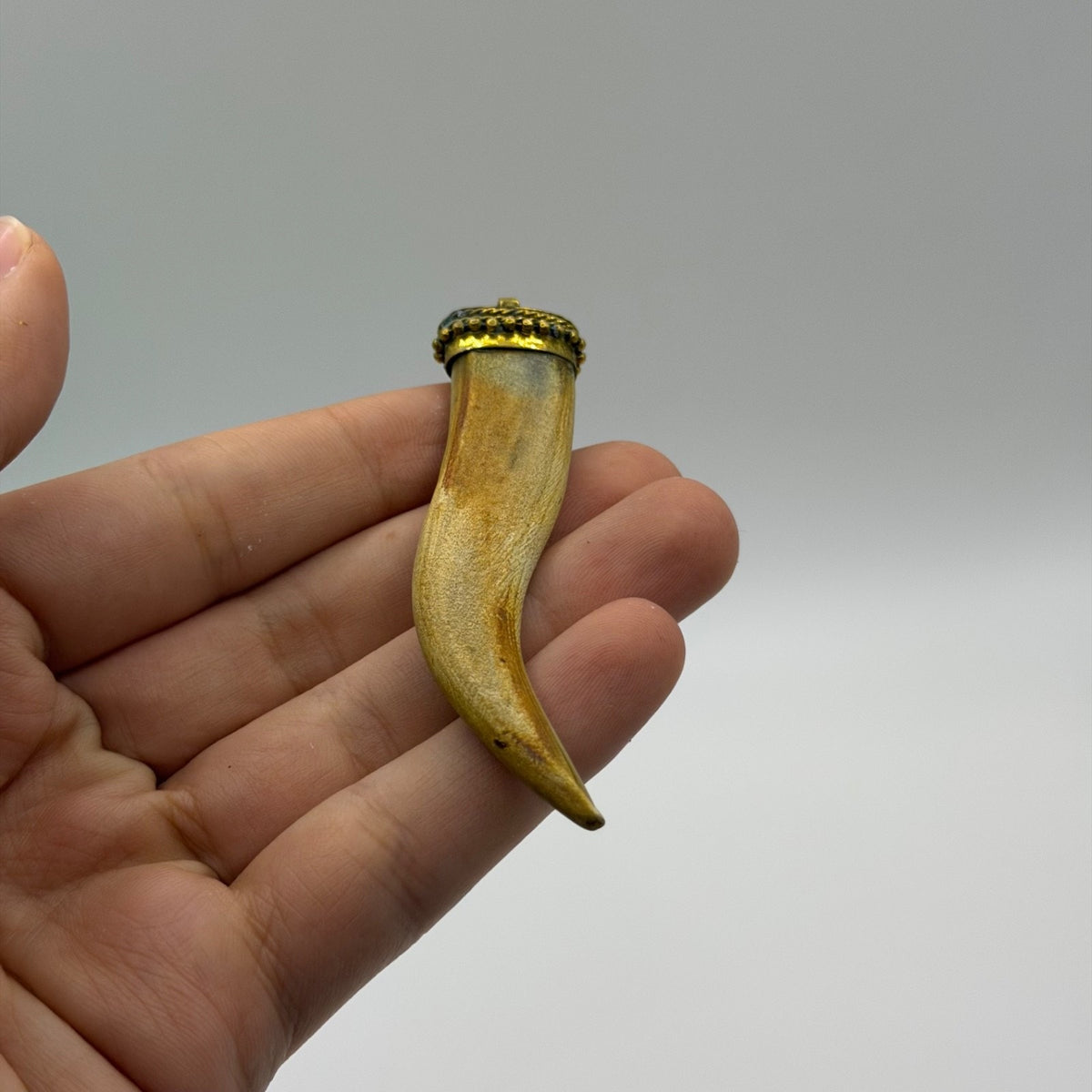 Antique Style Horn Tooth Like Pendant Brass Wire Wrap Cap Tribal Protection