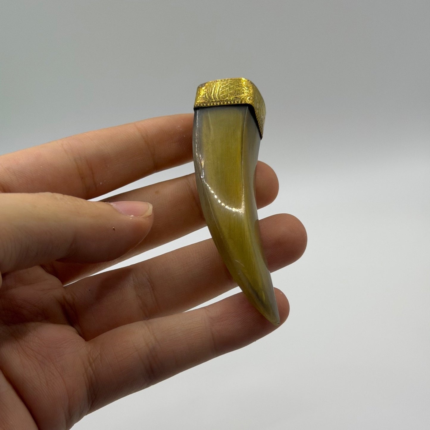 Antique Style Faux Horn Claw Tusk Pendant Brass Gold Tone Cap Talisman