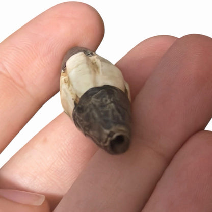 Antique Nagaland ( Tribal India ) shell silver bead